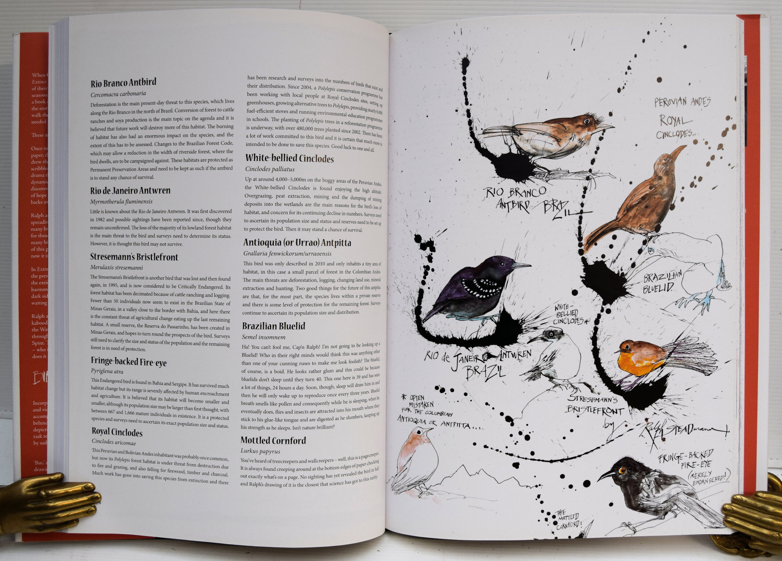 RALPH STEADMAN'S NEXTINCTION. - Image 2
