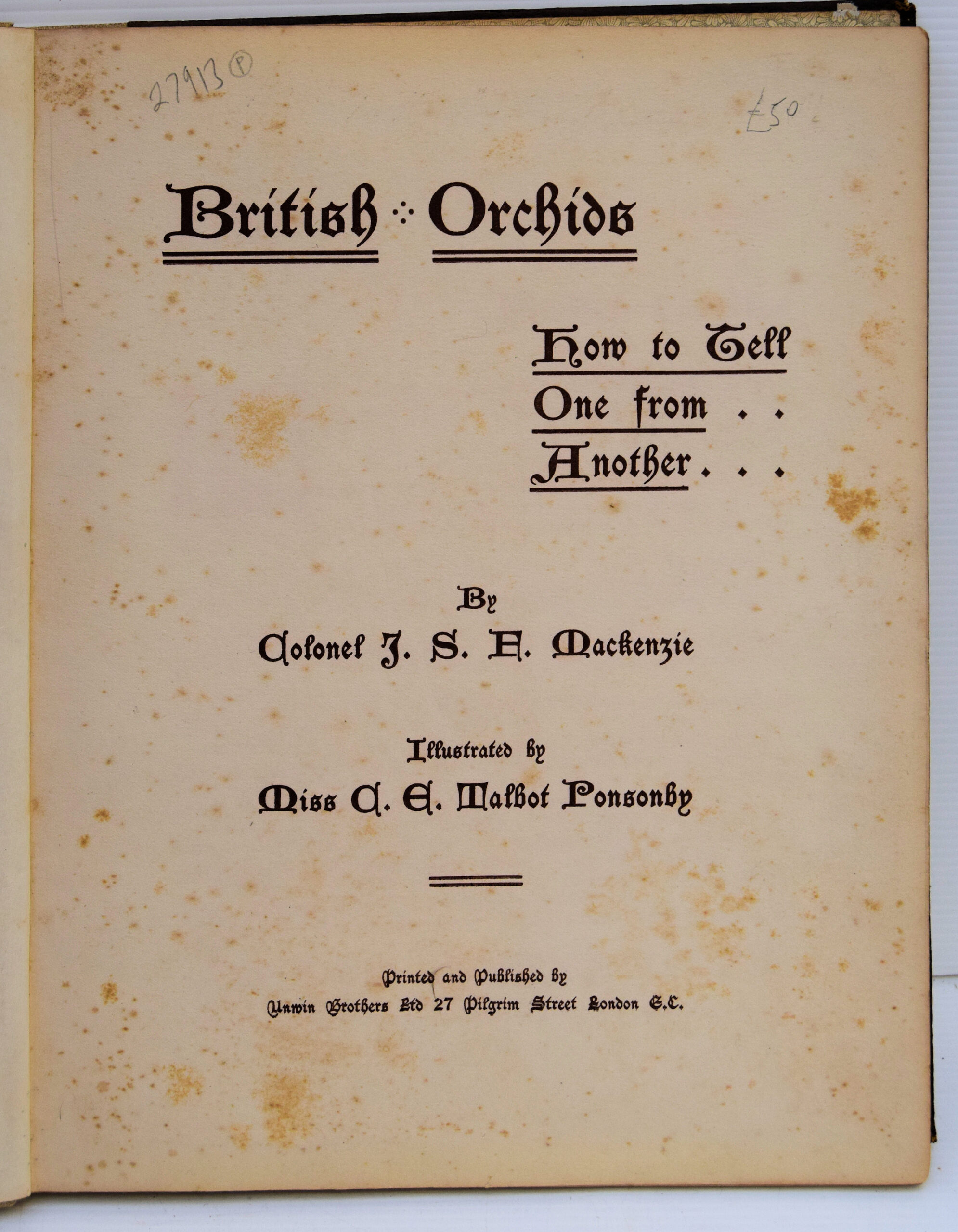 BRITISH ORCHIDS. - Image 2