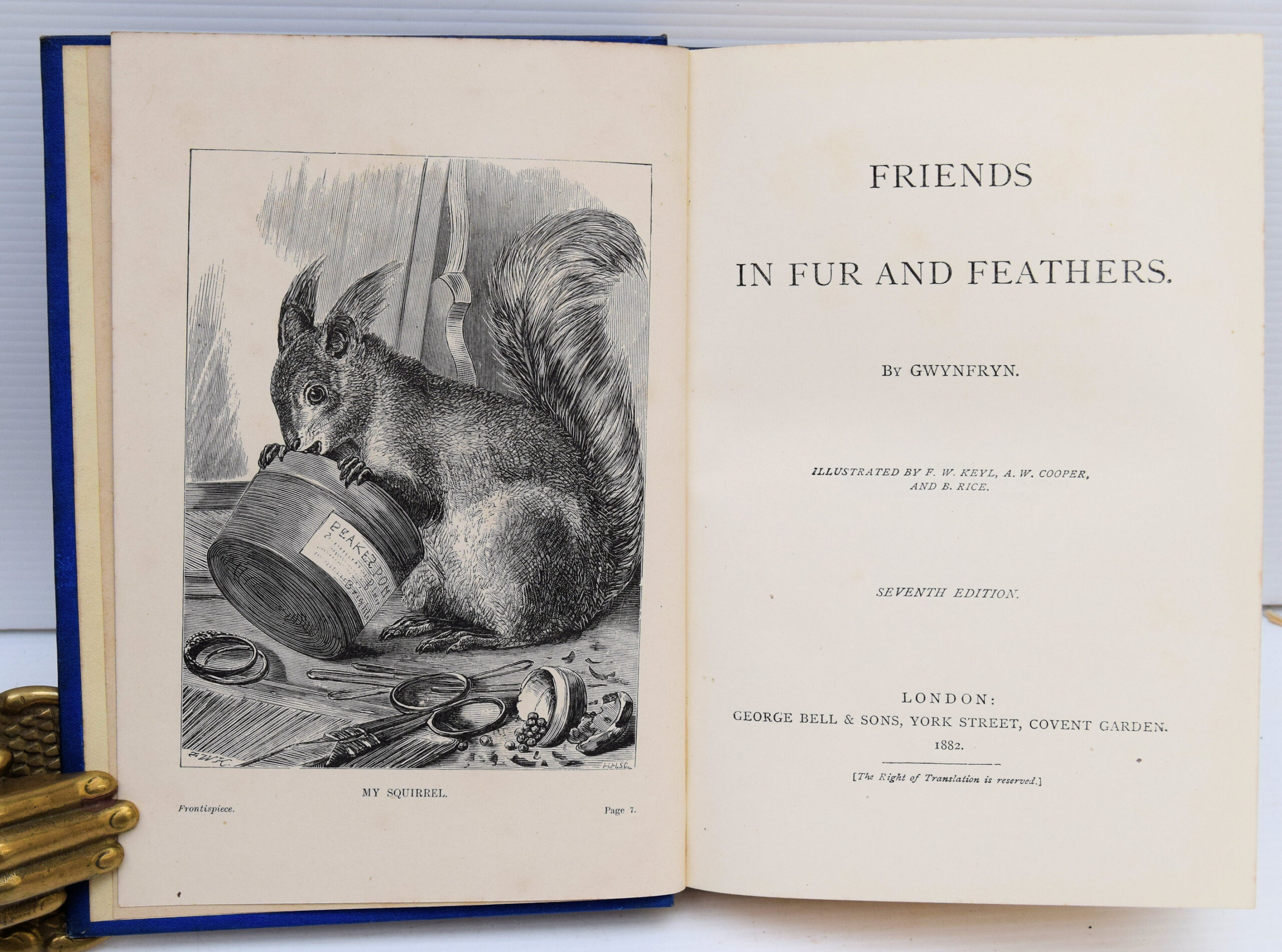 FRIENDS IN FUR AND FEATHERS. - Image 2