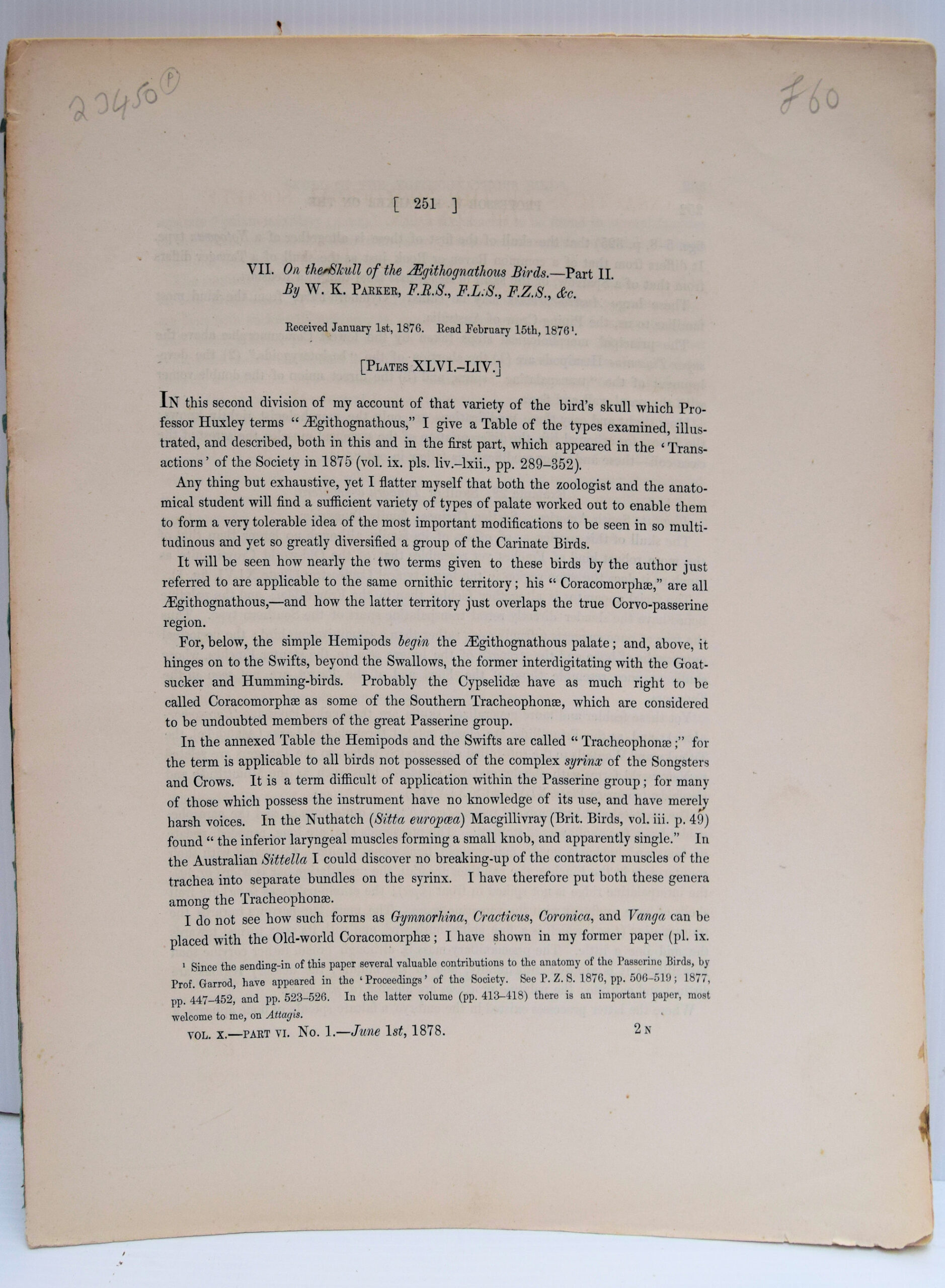 TRANSACTIONS OF THE ZOOLOGICAL SOCIETY OF LONDON.. - Image 4