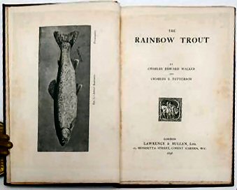THE RAINBOW TROUT..
