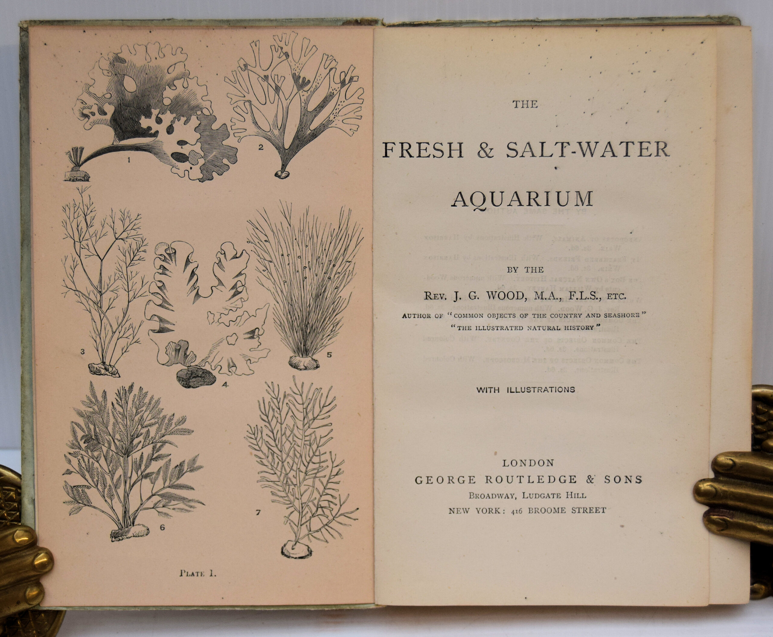 Fresh and Saltwater Aquarium. - Image 2
