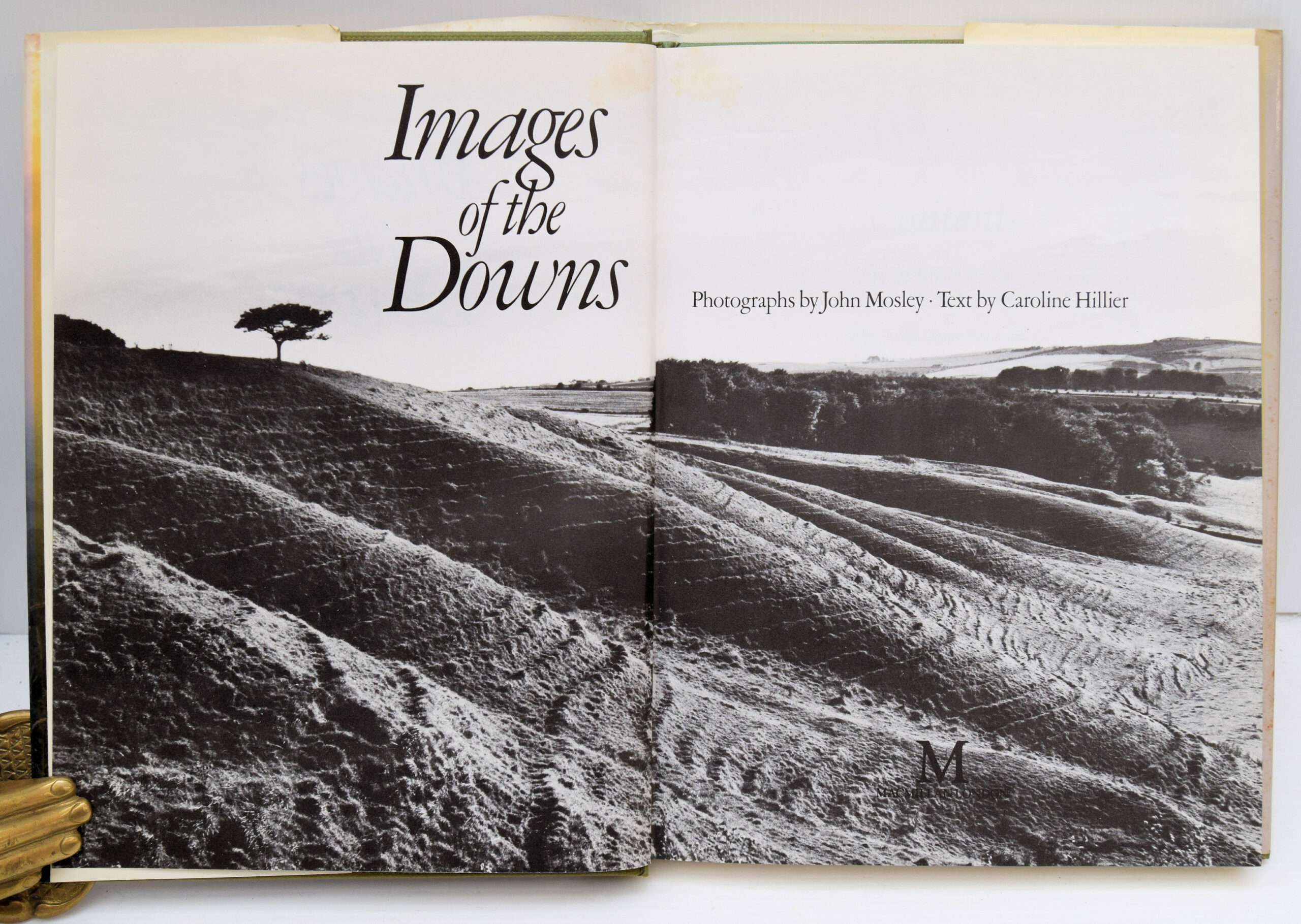 IMAGES OF THE DOWNS. - Image 2