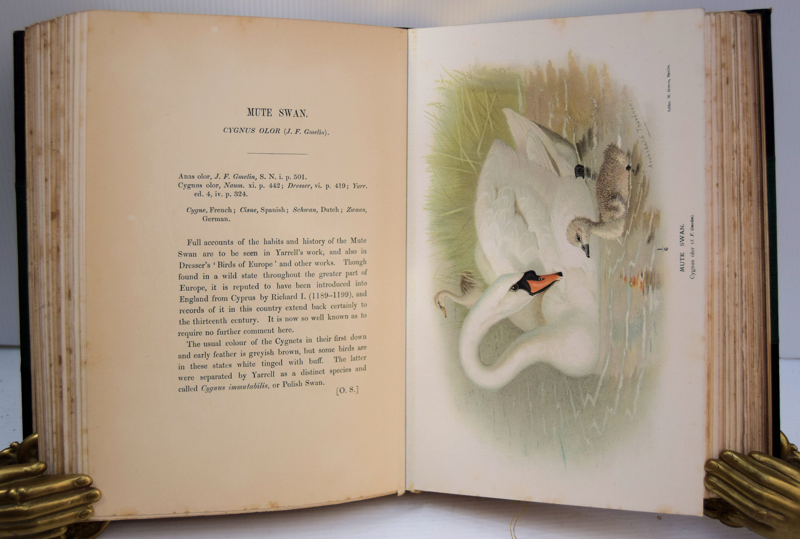 Coloured figures of the birds of the British Islands - Image 6