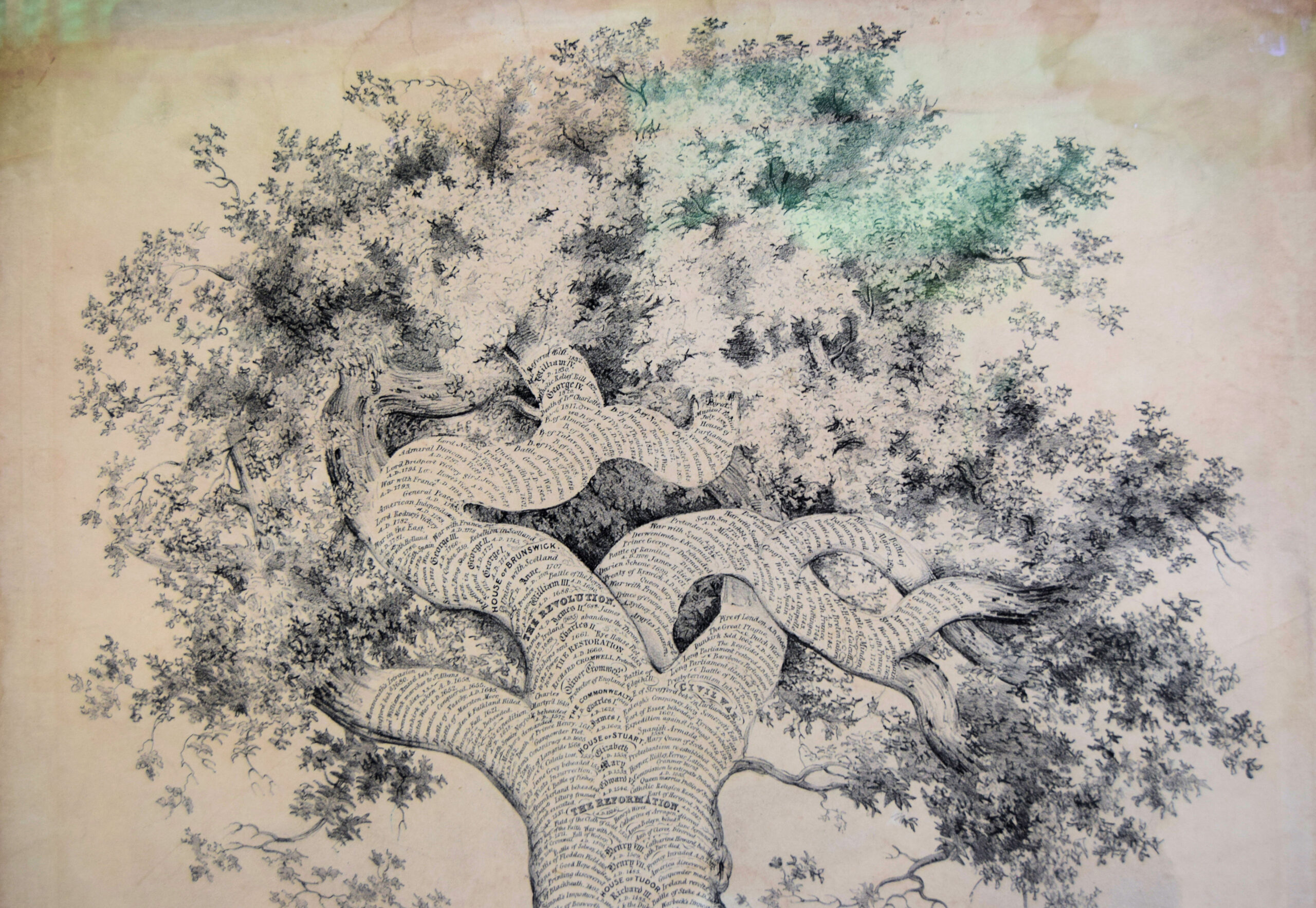 Chronological tree of English history - Image 3