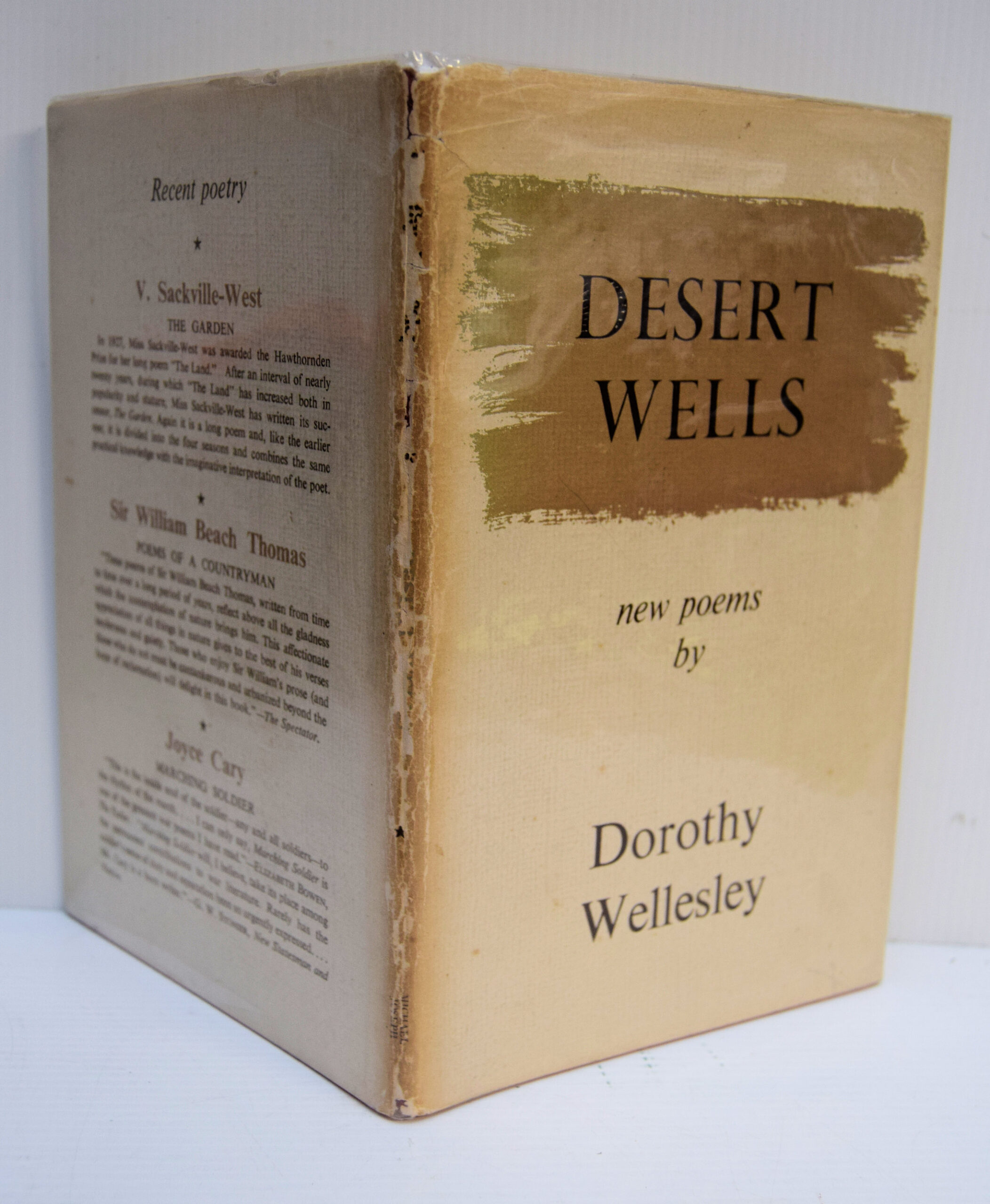 DESERT WELLS.