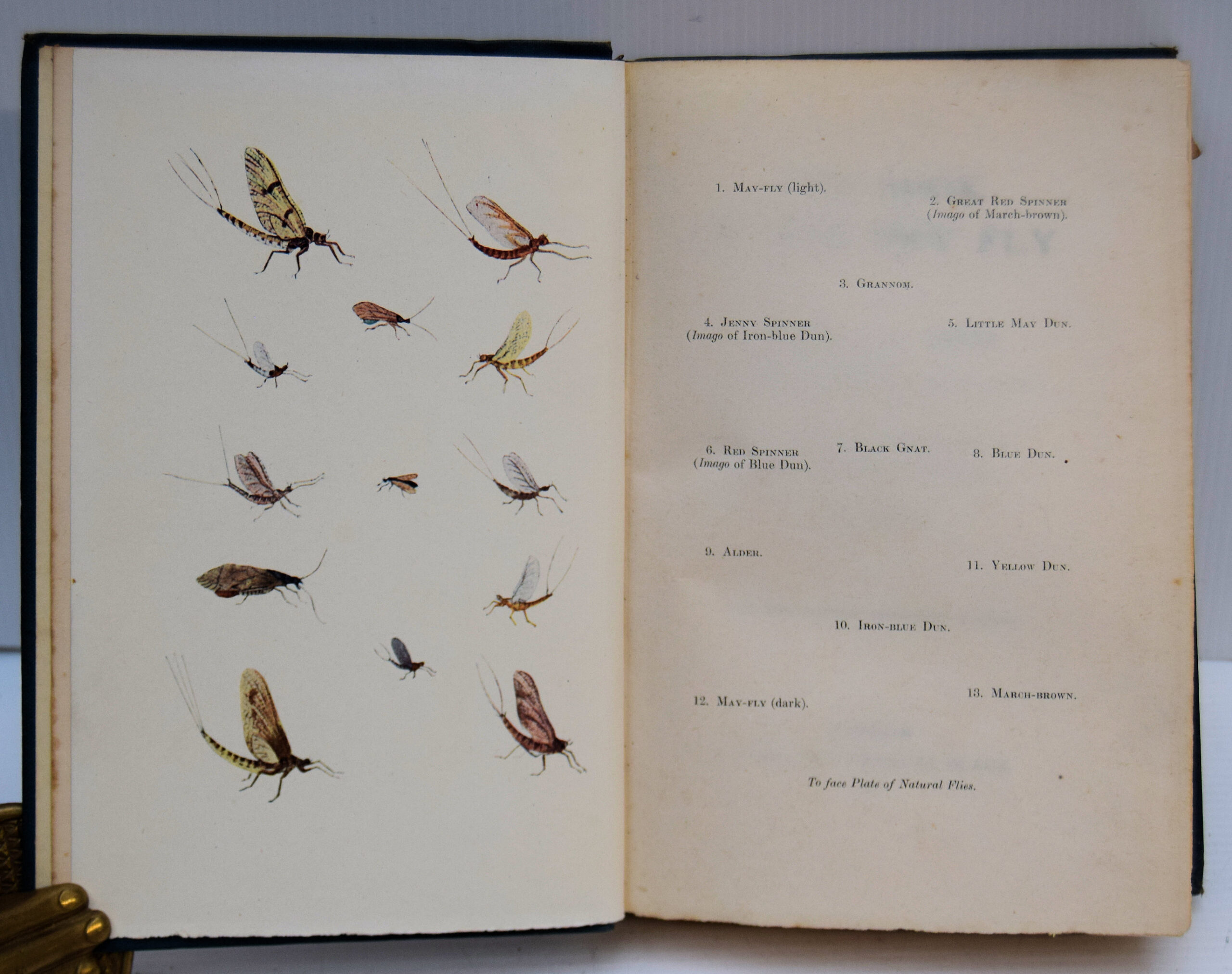 THE BOOK OF THE DRY FLY. - Image 4