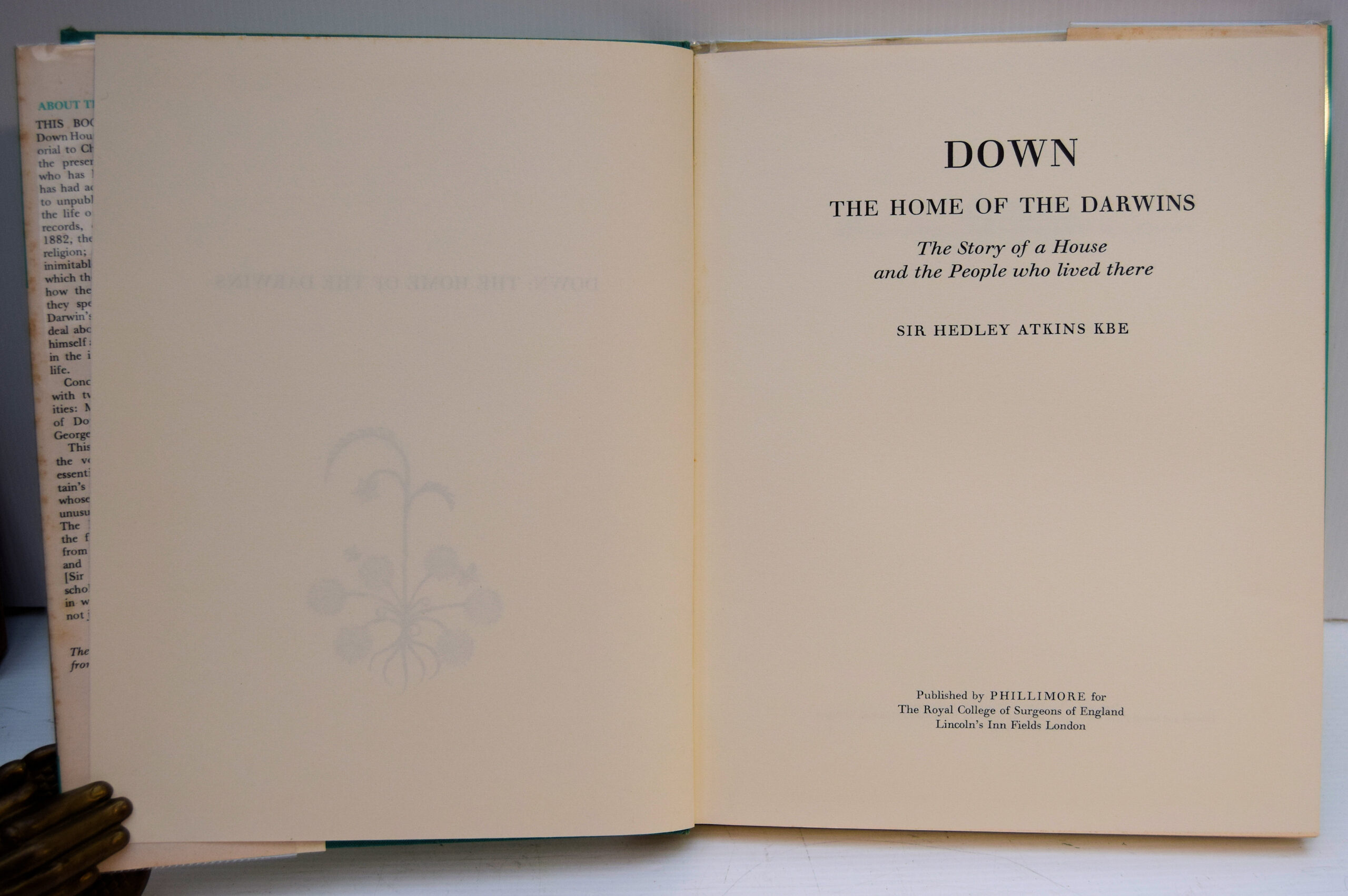 DOWN THE HOME OF THE DARWINS. - Image 2