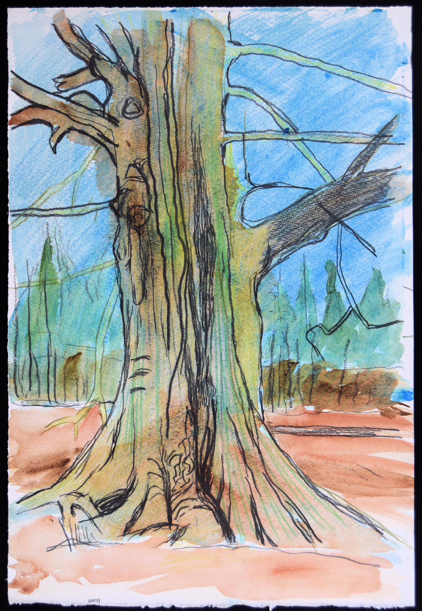 BRATBY. Trees II. (Gnarled tree in Shoreham Plantation). - Image 2