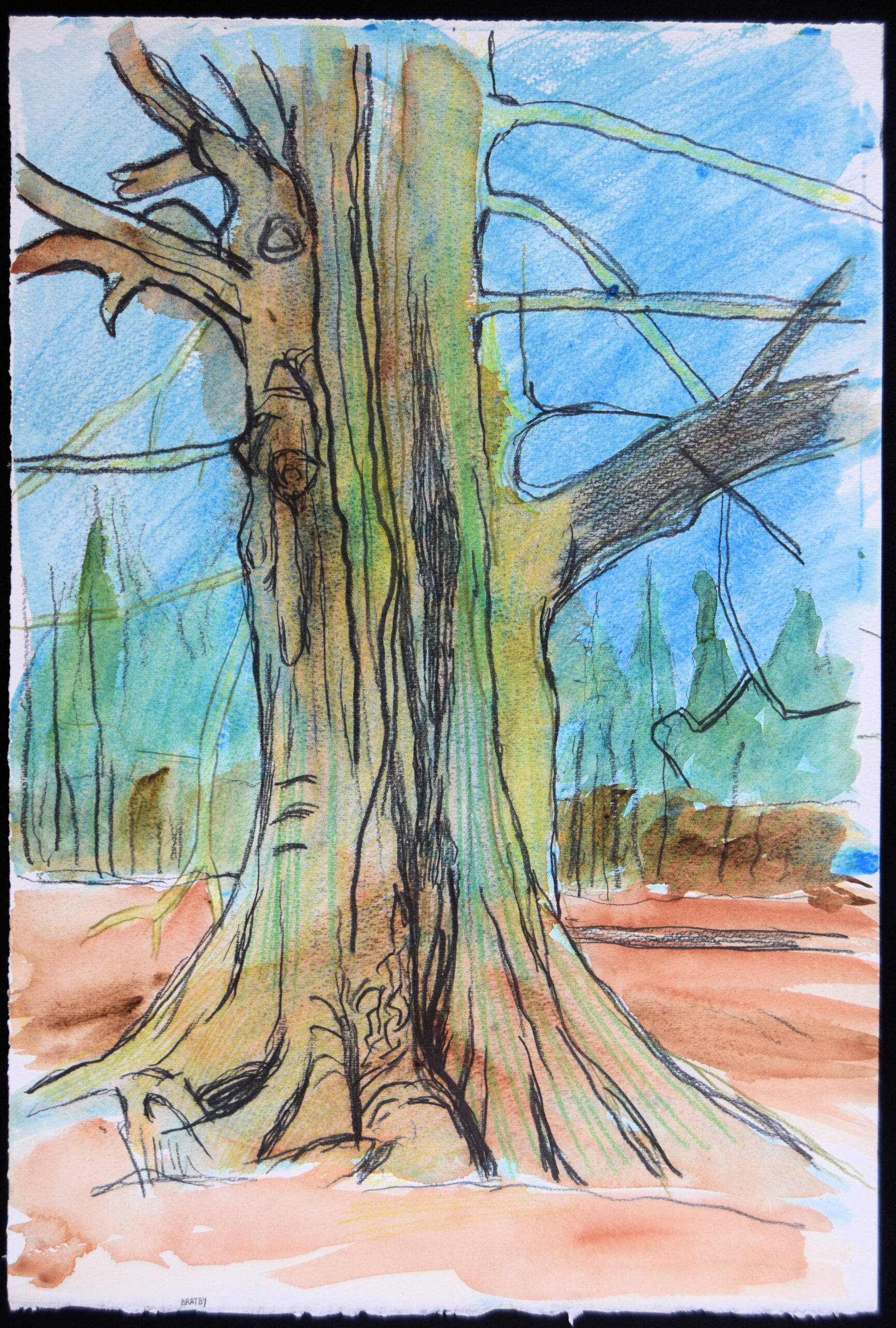 BRATBY. Trees II. (Gnarled tree in Shoreham Plantation). - Image 3