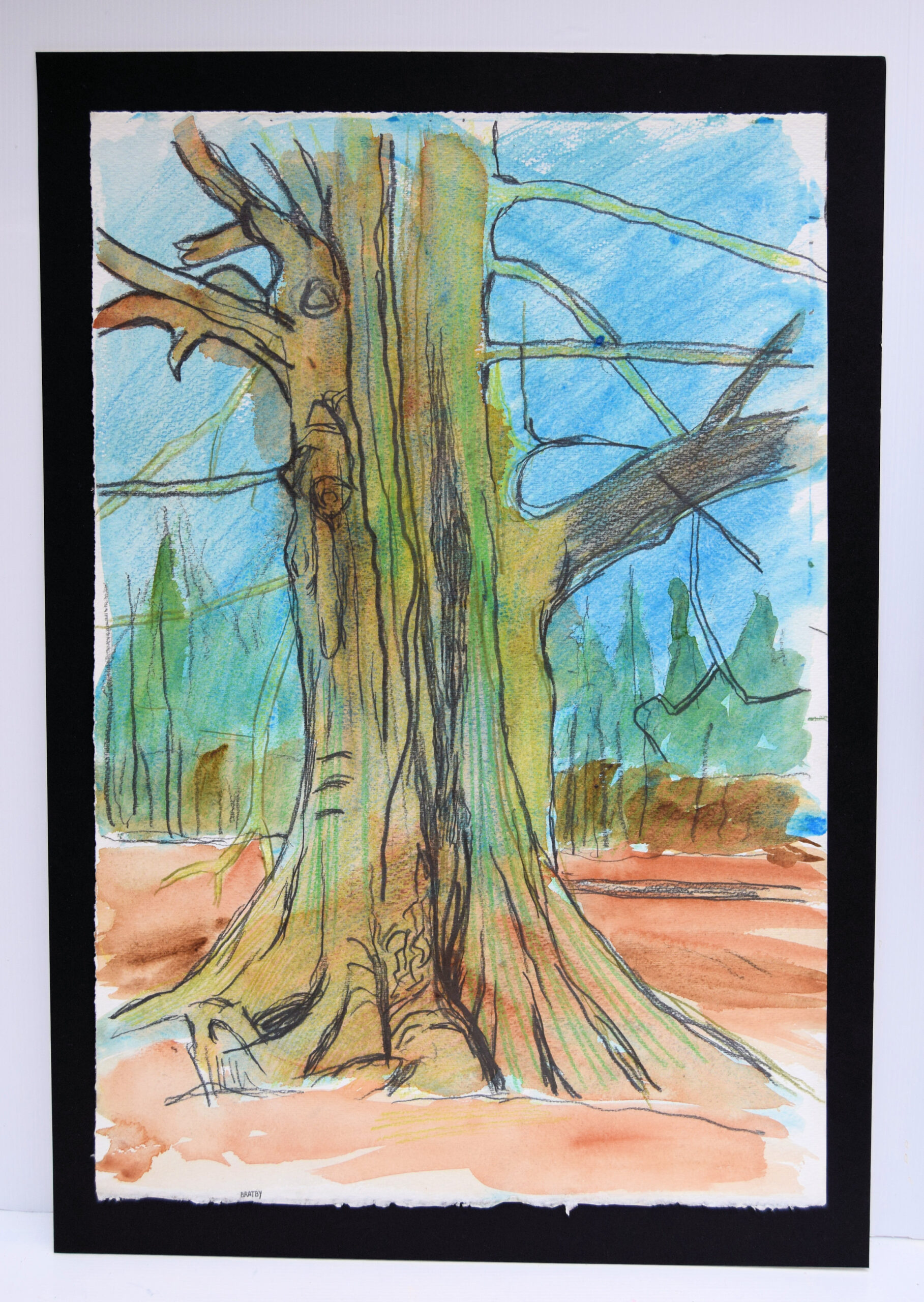 BRATBY. Trees II. (Gnarled tree in Shoreham Plantation).