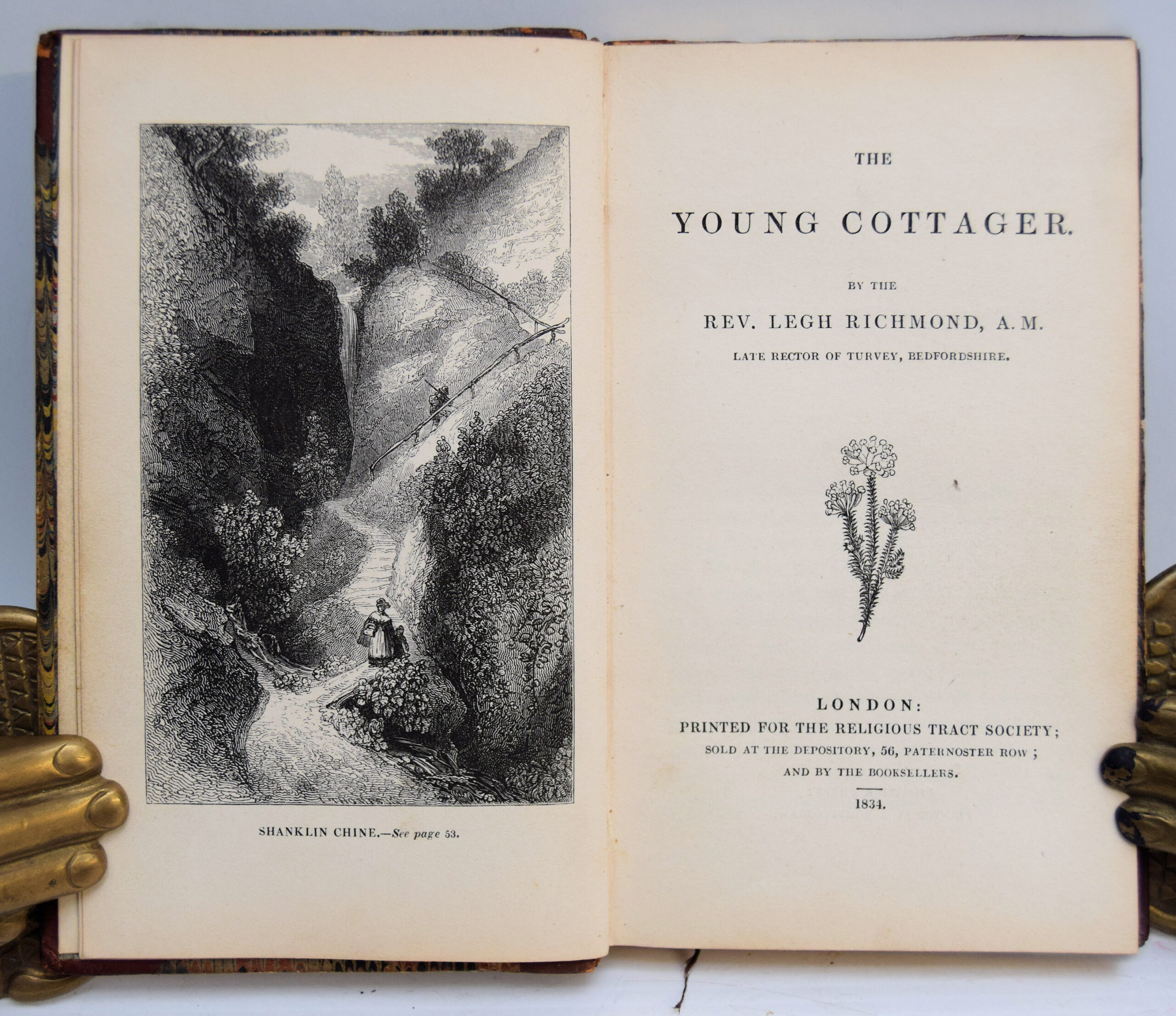 THE YOUNG COTTAGER.