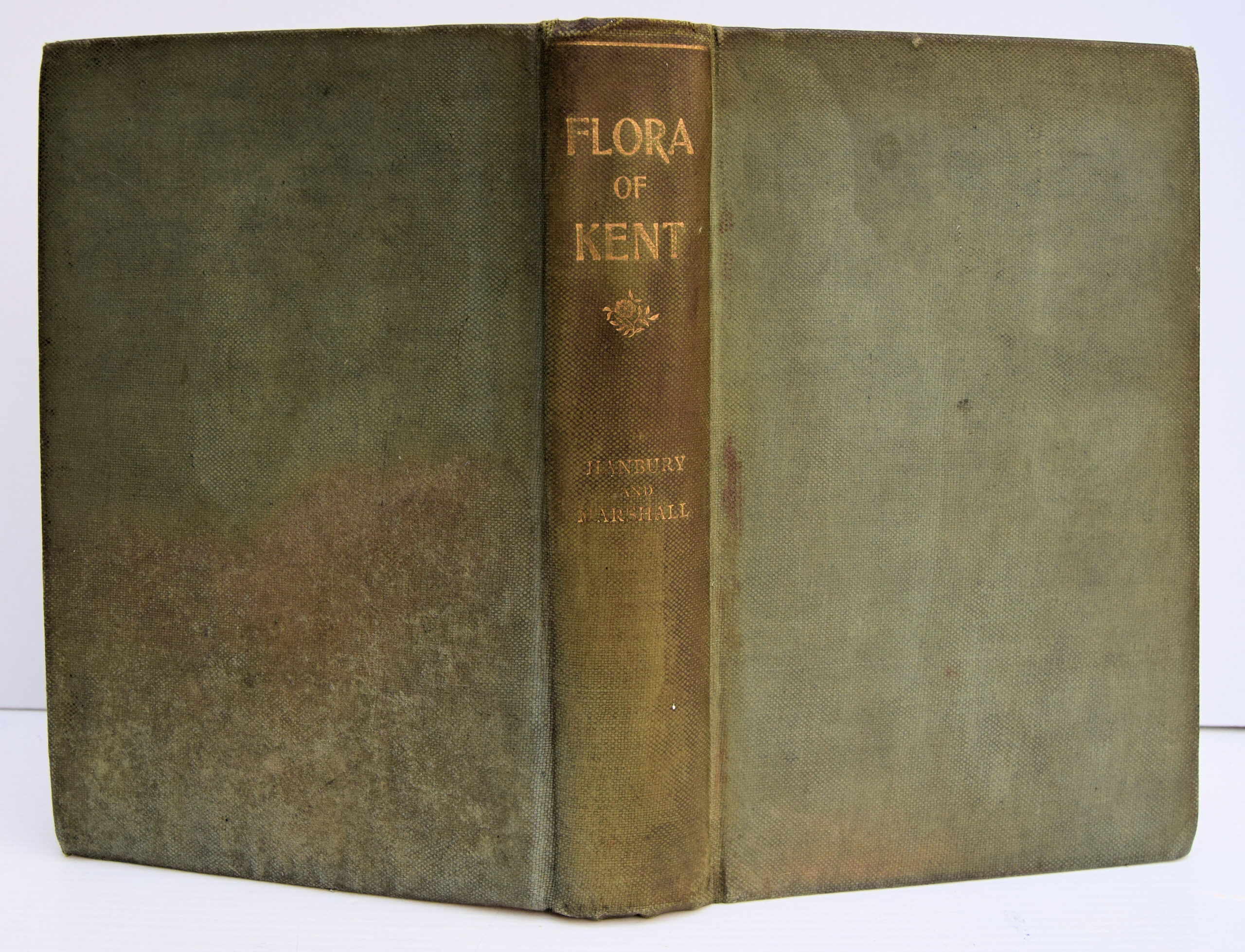 FLORA OF KENT BEING AN ACCOUNT OF THE FLOWERING PLANTS, FERNS, Etc., WITH NOTES ON THE TOPOGRAPHY, GEOLOGY, AND METEOROLOGY, AND A HISTORY OF THE BOTANICAL INVESTIGATION OF THE COUNTY. - Image 2